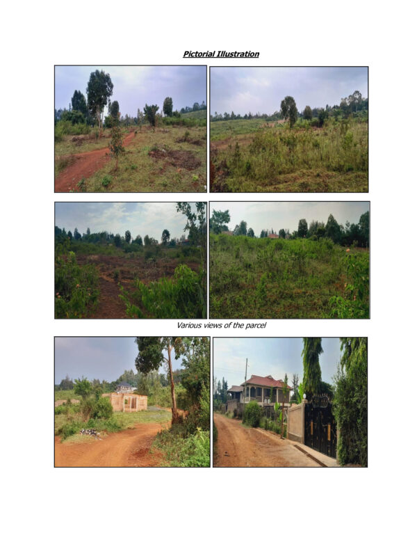 Properties Title No.Kisumu/municipality/block 5/320,Kisumu Mukendwa/30 and Kisumu Kanyakwarb/371