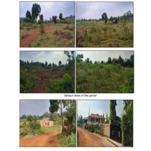 Properties Title No.Kisumu/municipality/block 5/320,Kisumu Mukendwa/30 and Kisumu Kanyakwarb/371