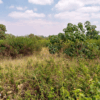 TITLE NO. KAJIADO/KAPUTEI-NORTH/1183 - Image 3