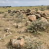 UNIT NUMBER L3-26A PORTION OF PRECINCT NUMBER 3BA PART OF L.R. NO. 28867/1 TATU CITY INDUSTRIAL PARK, KIAMBU COUNTY - Image 2