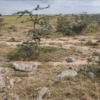 UNIT NUMBER L3-26A PORTION OF PRECINCT NUMBER 3BA PART OF L.R. NO. 28867/1 TATU CITY INDUSTRIAL PARK, KIAMBU COUNTY - Image 4