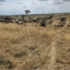 UNIT NUMBER L3-26A PORTION OF PRECINCT NUMBER 3BA PART OF L.R. NO. 28867/1 TATU CITY INDUSTRIAL PARK, KIAMBU COUNTY - Image 5