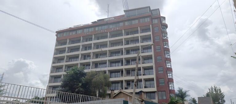 Hotel EZRI 1 (1)